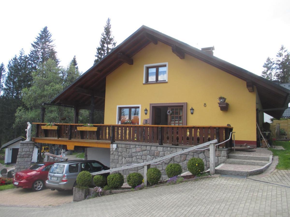 Haus Steininger Apartment Schluchsee Luaran gambar