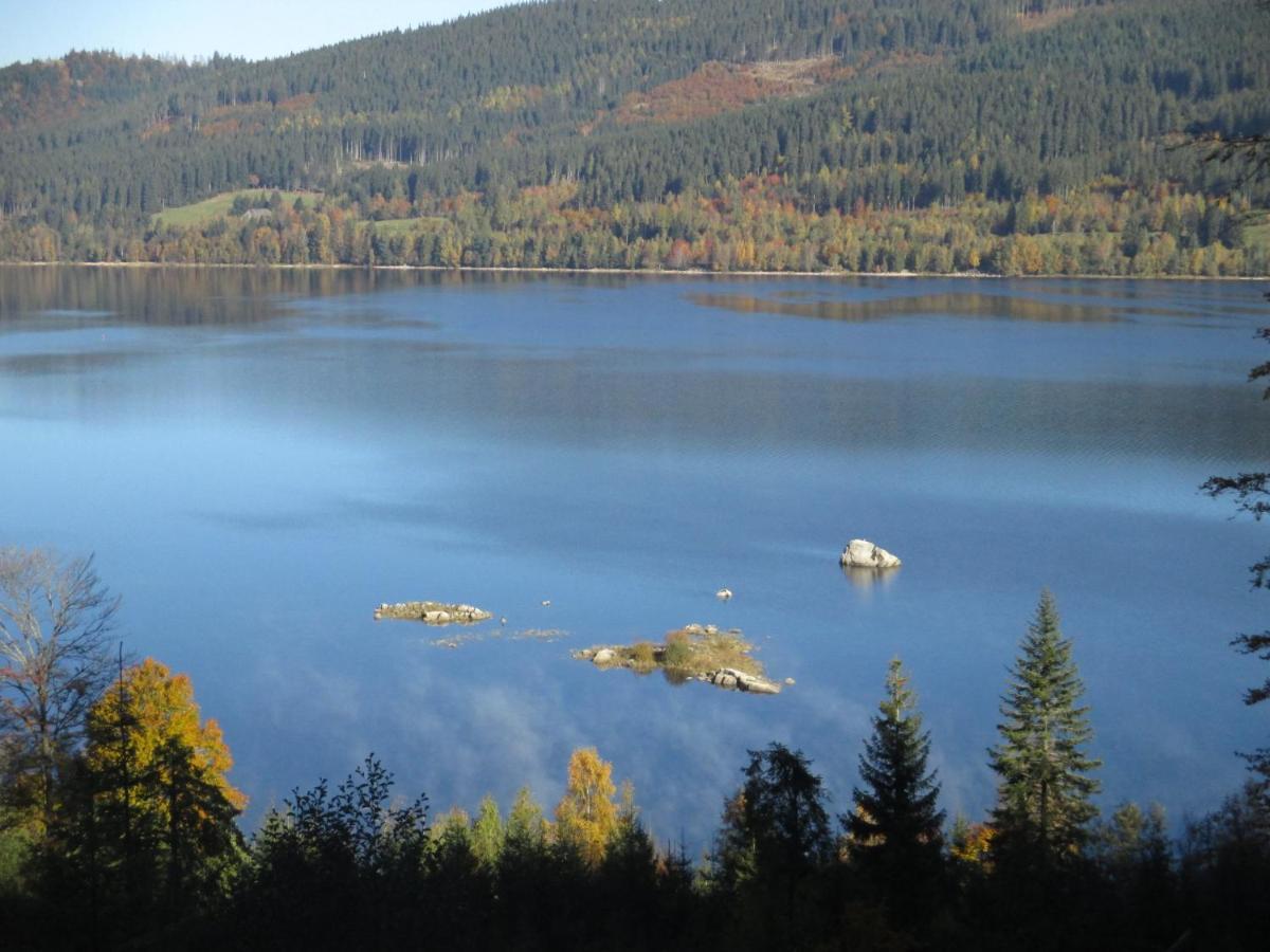 Haus Steininger Apartment Schluchsee Luaran gambar