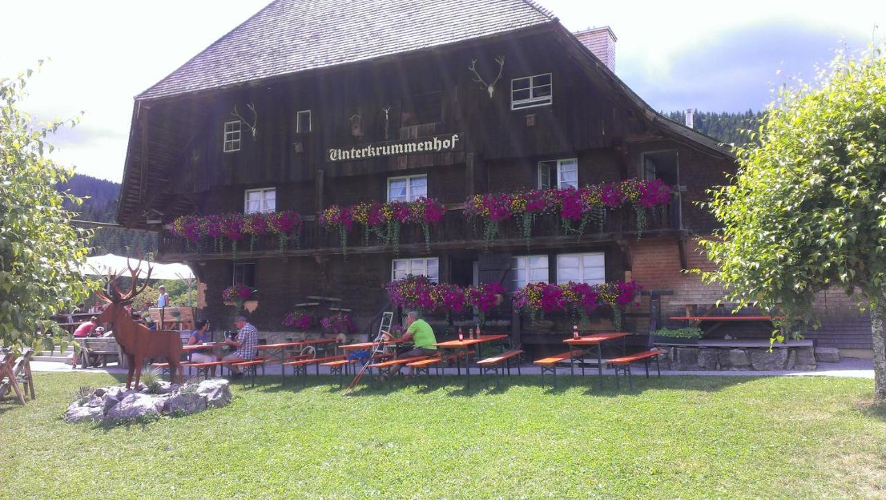 Haus Steininger Apartment Schluchsee Luaran gambar